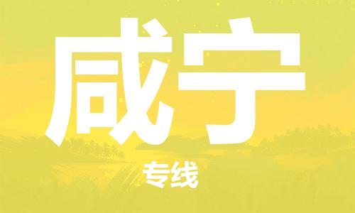 石家庄到咸宁物流公司-石家庄至咸宁专线（县/镇-直达-派送）