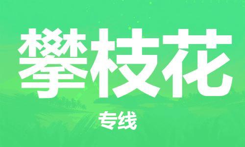 石家庄到攀枝花物流专线-石家庄到攀枝花货运-创新服务